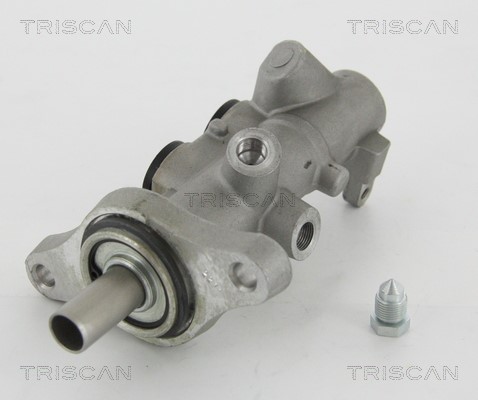 Brake Master Cylinder TRISCAN 813029171
