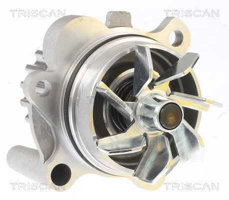 Water Pump, engine cooling TRISCAN 860029038 2