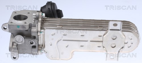 Cooler, exhaust gas recirculation TRISCAN 881329328 4