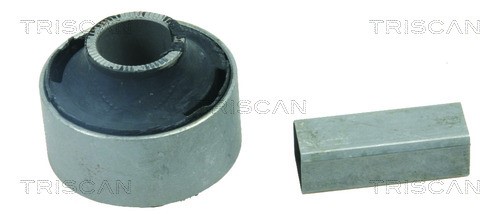 Mounting, control/trailing arm TRISCAN 850013800