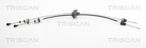 Cable Pull, manual transmission TRISCAN 814023708