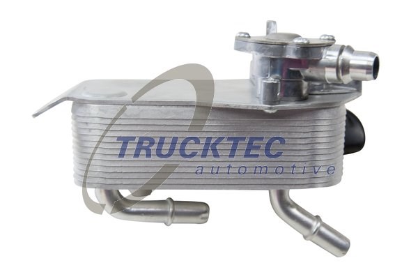 Oil Cooler, automatic transmission TRUCKTEC AUTOMOTIVE 0825037