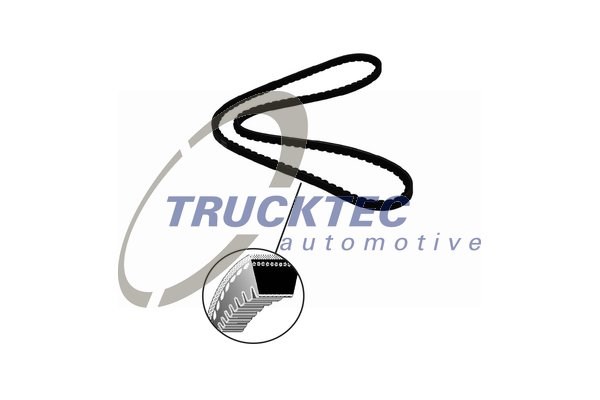 V-Belt TRUCKTEC AUTOMOTIVE 0319048