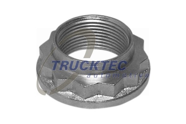 Axle Nut, drive shaft TRUCKTEC AUTOMOTIVE 0832053