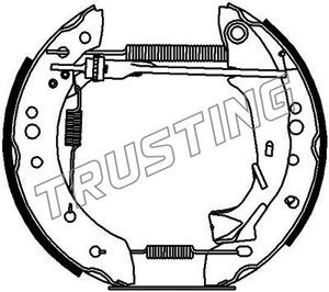 Brake Pad Set, disc brake TRUSTING 6260