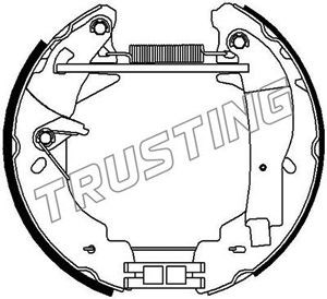 Brake Pad Set, disc brake TRUSTING 6350 2