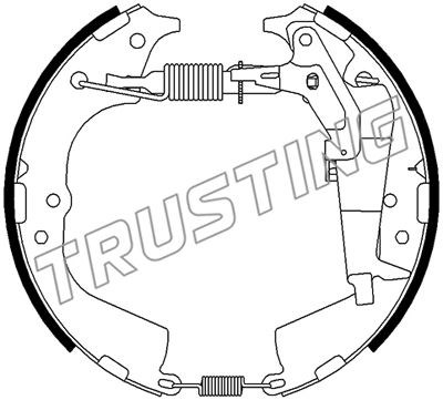Brake Pad Set, disc brake TRUSTING 6510