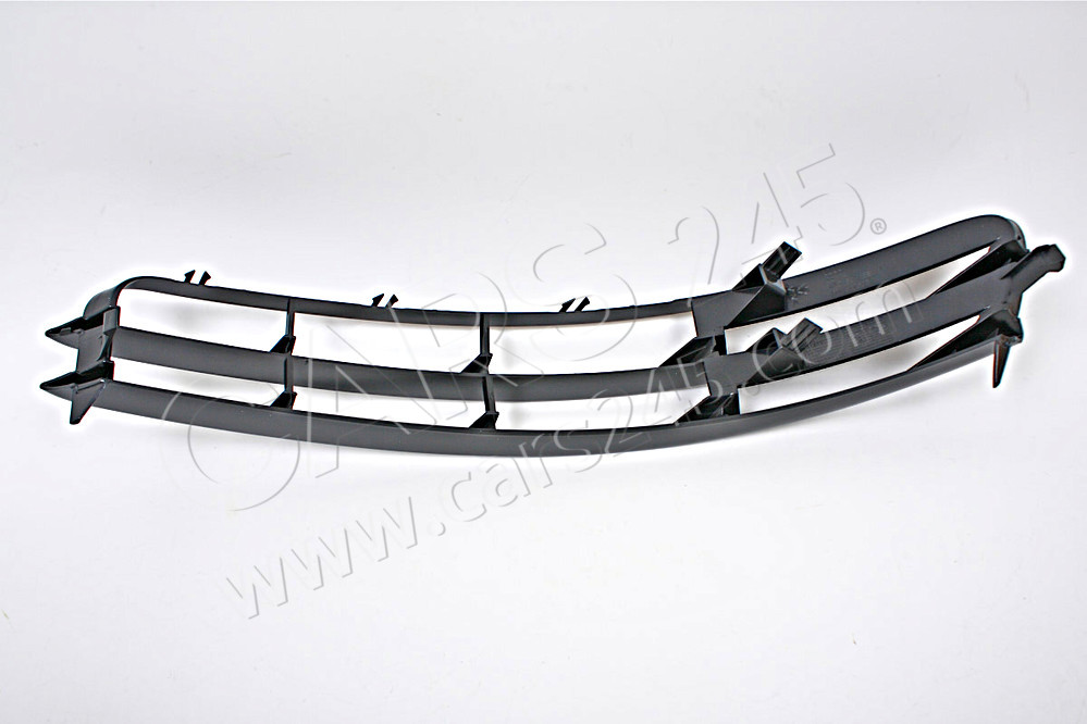 Air guide grille AUDI / VOLKSWAGEN 4F0807681F01C 2