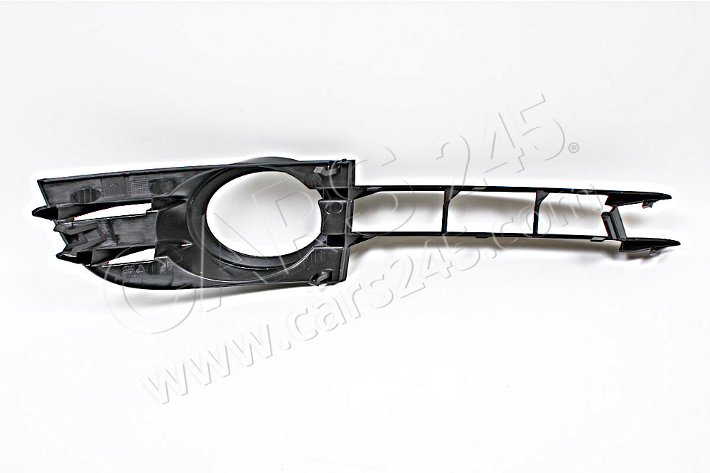 Air guide grille AUDI / VOLKSWAGEN 4F080768101C 2
