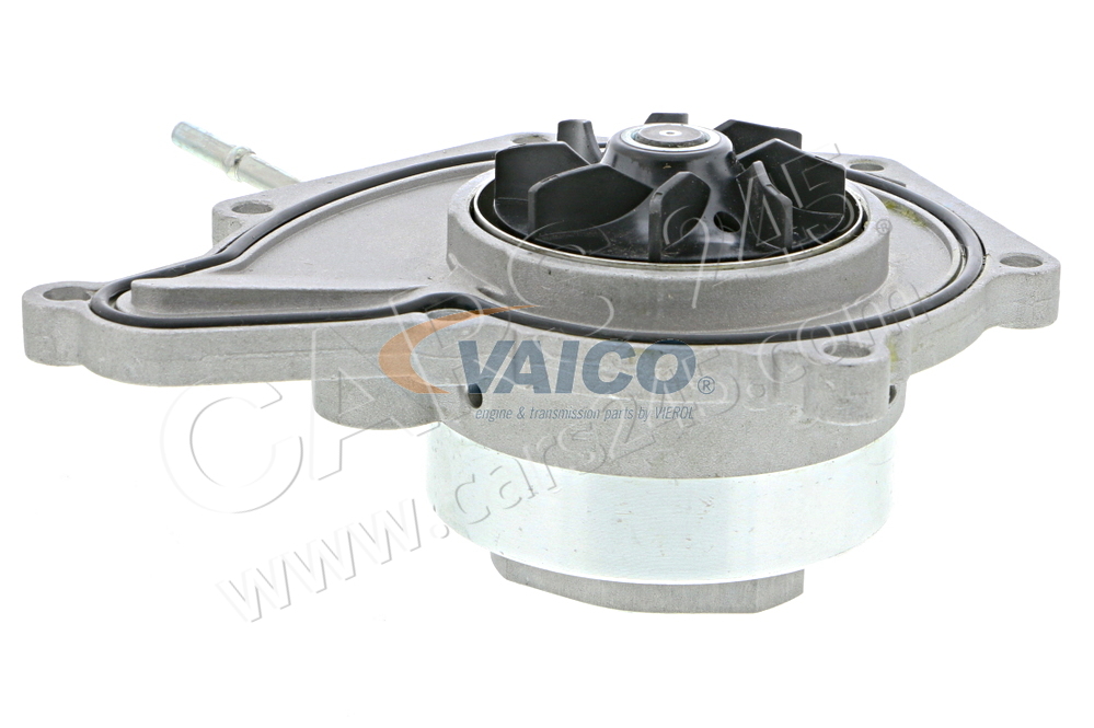 Water Pump, engine cooling VAICO V10-50090