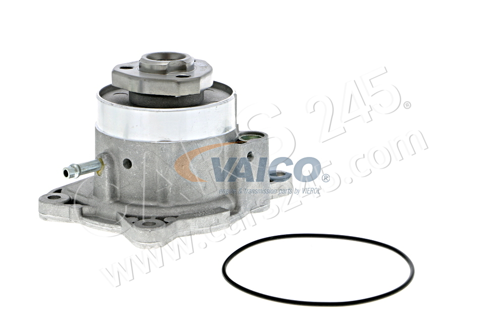 Water Pump, engine cooling VAICO V10-50081