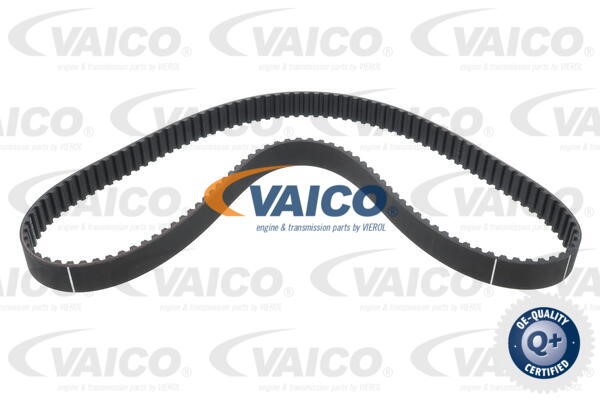 Water Pump & Timing Belt Kit VAICO V24-50022 2