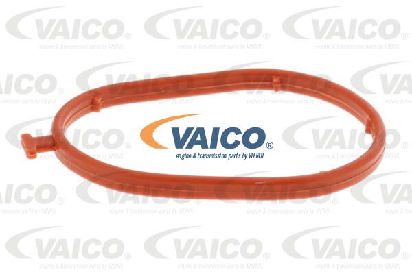 Coolant Flange VAICO V10-5868 3