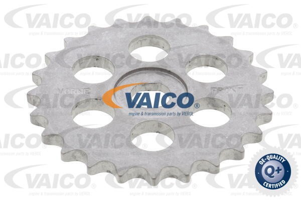 Chain Set, oil pump drive VAICO V20-4073 4