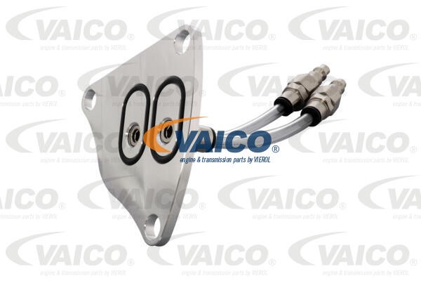 Filling Adapter, transmission VAICO V99-1161 3