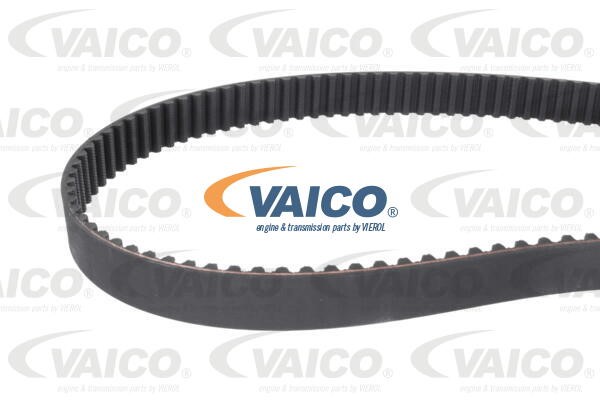 Timing Belt VAICO V10-6961 2
