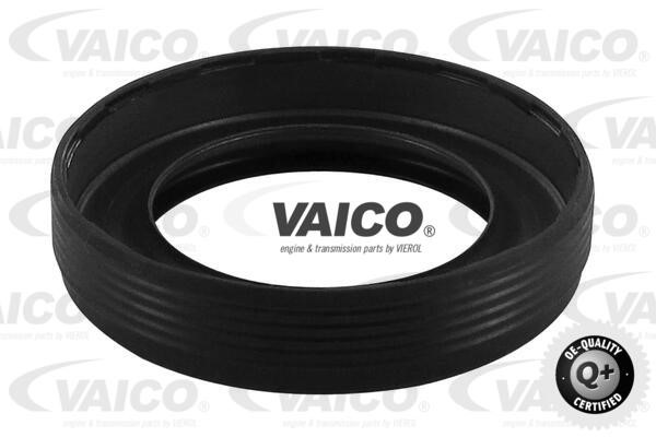 Timing Chain Kit VAICO V10-10013-SP 5