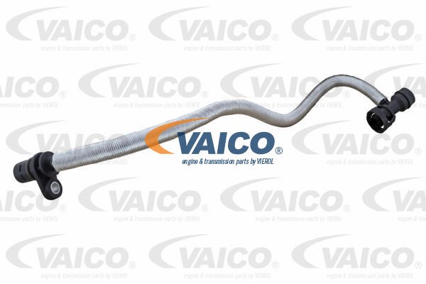 Hose, crankcase ventilation VAICO V20-3581