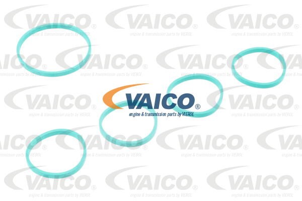 Intake Manifold Module VAICO V10-5427 2