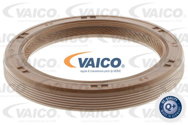 Timing Chain Kit VAICO V40-10004 6