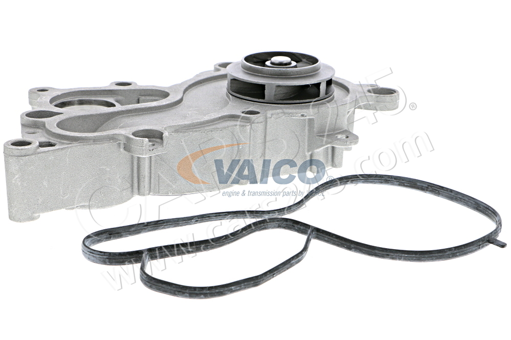 Water Pump, engine cooling VAICO V10-50093