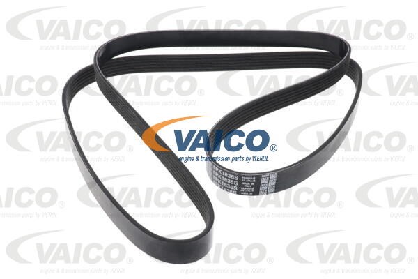 Water Pump & Timing Belt Kit VAICO V20-50104-BEK 6