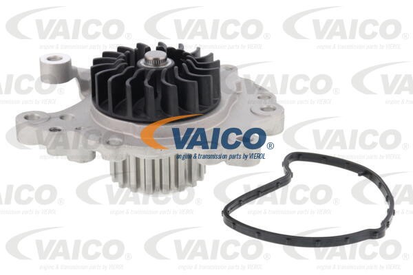 Water Pump, engine cooling VAICO V22-50029