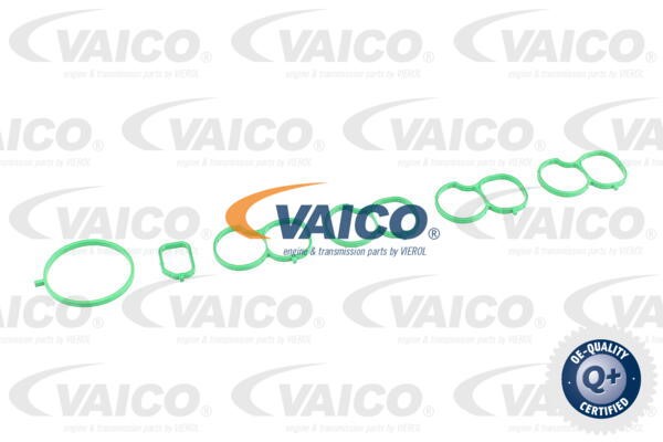 Intake Manifold Module VAICO V24-0990 2
