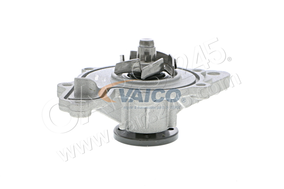 Water Pump, engine cooling VAICO V30-50055