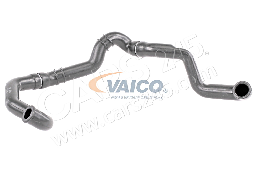 Hose, cylinder head cover ventilation VAICO V30-2926