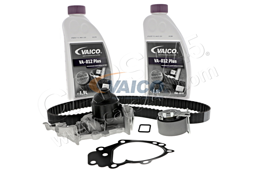 Water Pump & Timing Belt Kit VAICO V46-50023