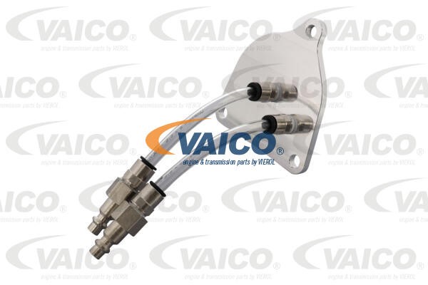 Filling Adapter, transmission VAICO V99-1160