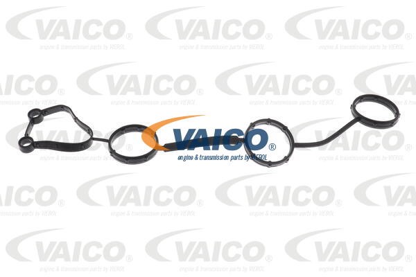 Timing Chain Kit VAICO V10-10011 19