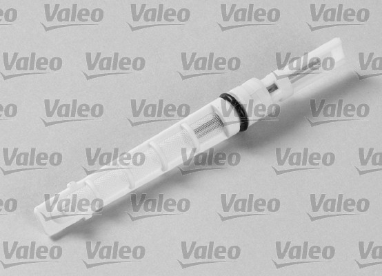 Injector Nozzle, expansion valve VALEO 508970