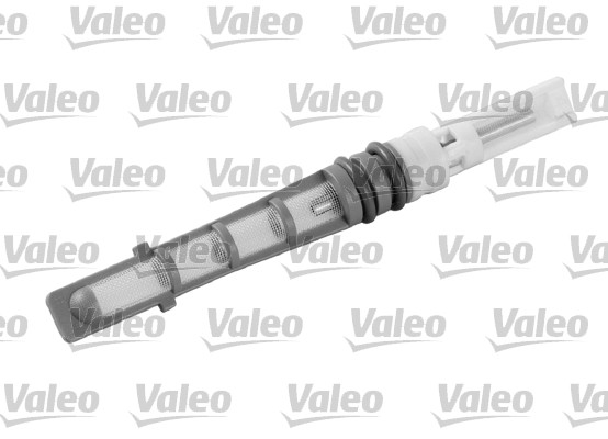 Injector Nozzle, expansion valve VALEO 509291