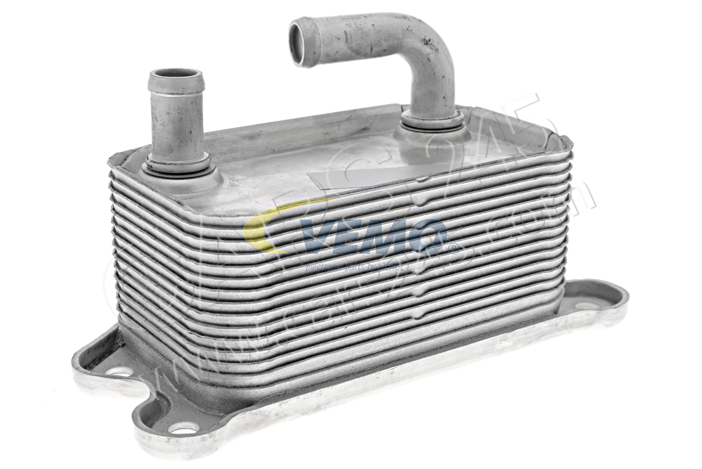 Oil Cooler, engine oil VEMO V95-60-0011