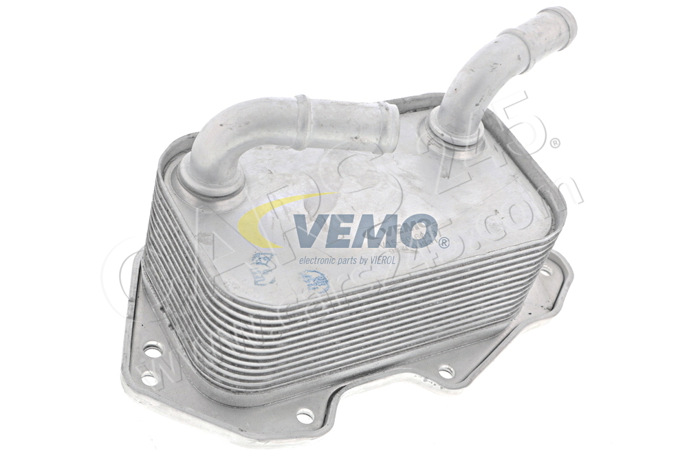 Oil Cooler, engine oil VEMO V15-60-6019