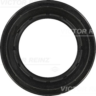 Shaft Seal, differential VICTOR REINZ 812941200