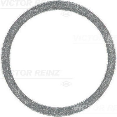 Seal Ring, oil drain plug VICTOR REINZ 417106500