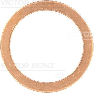 Seal Ring, oil drain plug VICTOR REINZ 417016800