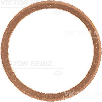 Seal Ring, oil drain plug VICTOR REINZ 417019800