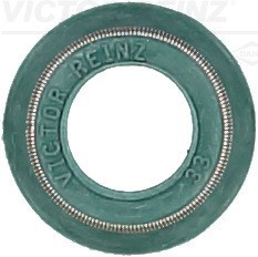 Seal Ring, valve stem VICTOR REINZ 702524700