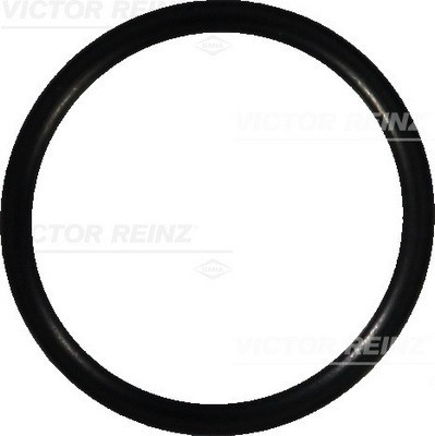 Seal Ring VICTOR REINZ 407669000