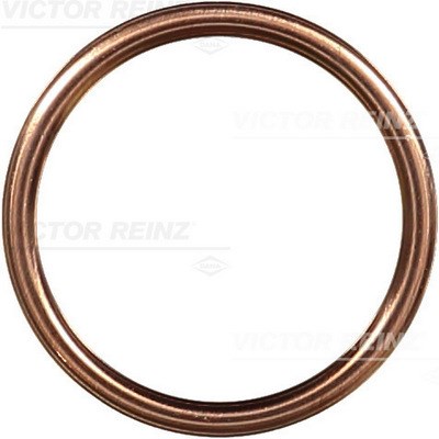Seal Ring, oil drain plug VICTOR REINZ 417206530