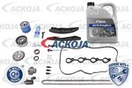 Timing Chain Kit ACKOJAP A52-10001-XXL