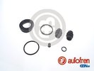 Repair Kit, brake caliper AUTOFREN SEINSA D41630