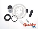 Repair Kit, brake caliper AUTOFREN SEINSA D42048C