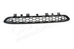 Grille, middle top, open BMW 51118056258