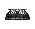 GRILLE Cars245 PTY07765GA