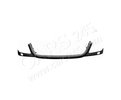 Grille Frame Cars245 PBZ07027MA